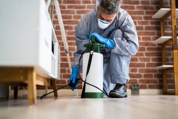 Best Residential Pest Control  in Ivanhoe, TX